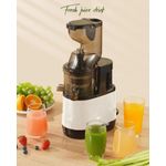 product_image_name-Sans-Presse-agrumes à froid, presse à froid lente avec plus grande goulotte d'alimentation, presse-agrumes pur pour légumes et fruits, facile à nettoyer avec une brosse-1