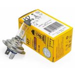 Ampoule Halogène H7 12V 55W - Éclairage Haute Intensité - Vision Optimale & Sécurité Routière