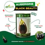 SEMENCE AUBERGINE BLACK BEAUTY 