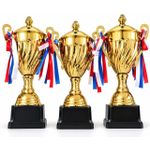 1 Trophée Majeur Doré de Compétition