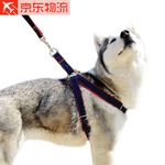 product_image_name-Generic-Laisse + Harnais Pour Chien-1