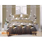 Belle Lot Complet : 2 Draps + 2 Taies + 2 Rideaux – Design Élégant et Confort Assuré
