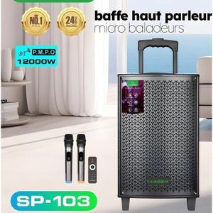 Leadder ENCEINTE SP-103 Rend la vie meilleure Noir Garantie 24 Mois