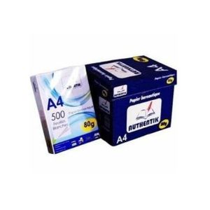 Carton De Rame Papier Authentik - 5 Ramettes Format A4 - 80g