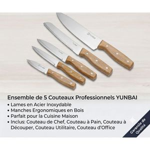 Ensemble de 5 Couteaux de Cuisine Professionnels  – Acier Inoxydable