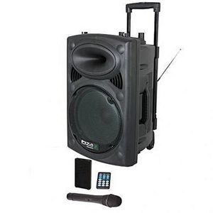 Jiepak Enceinte Sono Portable D-15 + 2 Micros + 1 Télécommande + 1 Chargeur