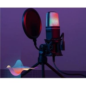Microphone Condensateur Professionnel avec Support et Filtre Anti-pop