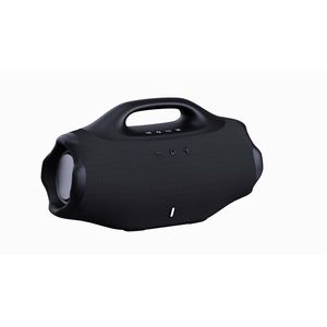  Haut-Parleur Bluetooth Portable Puissant avec Poignée