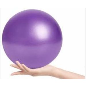 Mini Ballon de Fitness – Accessoire de Pilates et Renforcement Musculaire