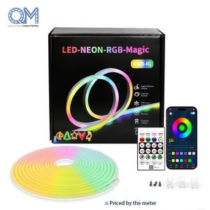 Bande lumineuse LED néon RGB USB 5V – Éclairage d'ambiance avec télécommande 10m