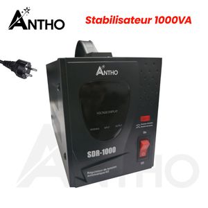 ANTHO Stabilisateur 1000VA - 1000 VA - SDR-1000 - Prise FR 
