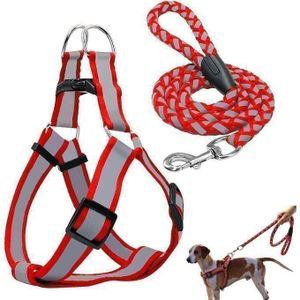 Magnifique Harnais Tour De Poitrail + Laisse Pour Chien /Chiot HG