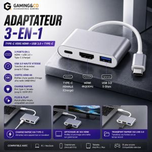 Adaptateur Hub Type-C 3-en-1 - Convertisseur USB-C vers HDMI 4K, USB 3.0 Haute Vitesse et Port de Charge PD 100W - Gris Métal