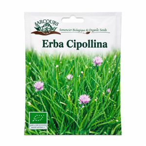 5 sachets de semences erba cipollina( feuille d’ognion)