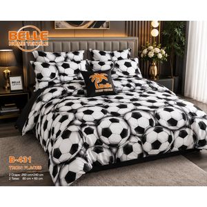 Belle Lot de 2 Draps et 2 Taies - Confort et Élégance pour Lit 3 Places