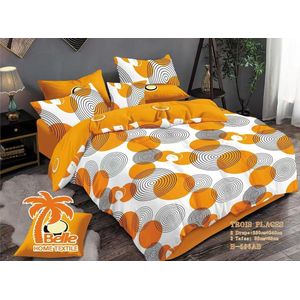 Belle Lot de 2 Draps et 2 Taies - Confort et Élégance pour Lit 3 Places