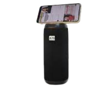 Wireless Bluetooth En Haut-parleur Mini FM Radio Wireless YG-A70-noir