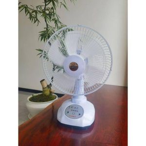 Leadder Ventilateur solaire rechargeable multifonction