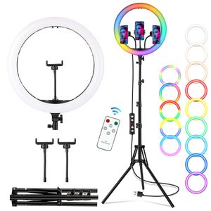 10 pouces 4 couleurs RVB Selfie Ring Light avec trépied, support de  téléphone pour tuyau, 360 ​​rotation cardan photographie en direct  streaming