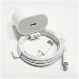 Chargeur iPhone, iPad