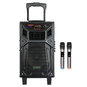 Leadder Bluetooth Trolley Speaker SP-804G- 2 Micros - BT/USB/FM - 40W