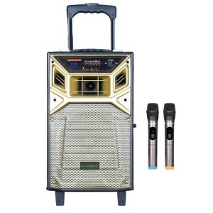 Leadder Bluetooth trolley Speaker SP 804G 2 Micro sans fil 