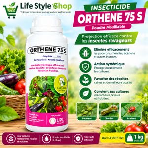 Insecticide systémique 75% Acéphate – Poudre Mouillable