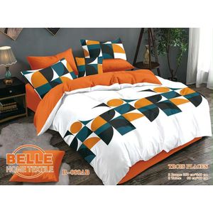Lot De 2 Draps + 2 Taies – Design Élégant et Confort Assuré Pour Deux Places