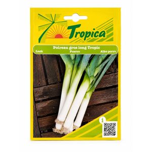 Graines de Poireau Gros Long Tropic – Tropica