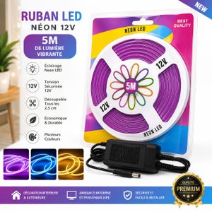 Ruban LED Néon Flexible 12V – 5 Mètres avec Adaptateur