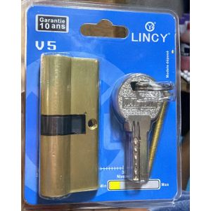 Lincy Cylindre de Serrure Haute Sécurité  V5 – ( Laiton Lots de 12 Pieces )