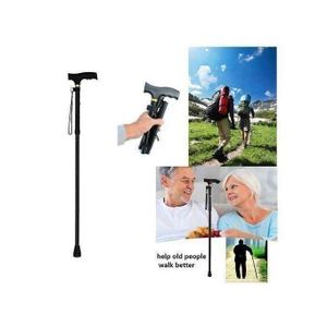 Agréable Canne de marche inoxydable Ibx VB