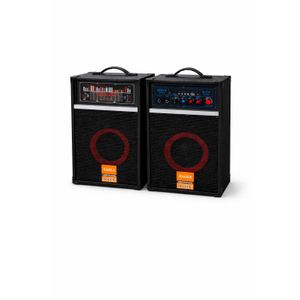 Baffle Portable 2 pcs -  Son Puissant avec Bluetooth