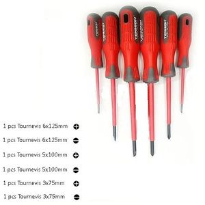 Jeu De 6 Tournevis Pointe Magnétique Manche Isolé