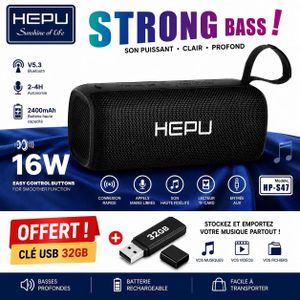 Hepu Enceinte Bluetooth Portable – 16W avec Clé USB 32 Go Offerte