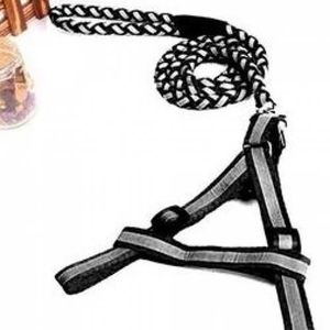 Harnais Tour De Poitrail + Laisse Pour Petit Chien /Chiot