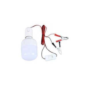 Ampoule 12 V avec pince et interrupteur, lampe de camping à batterie extensible pour marché nocturne