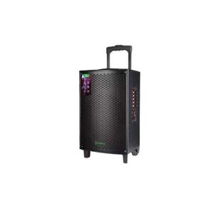 Leadder Haut Parleur Bluetooth + 2 Micros - Noir/Bois