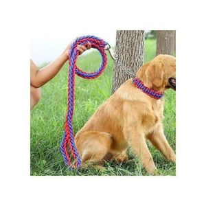 Chaîne de corde de sécurité de chien de de traction de laisse de harnais BN
