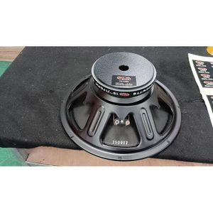 Haut parleur 15"