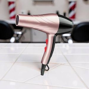 Sèche-cheveux Haute Performance au Design Luxe