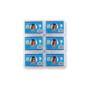 Mode Lot de 6 Boîtes de Cure-dents Fil Dentaire (Floss Picks) - 50 Pièces par Boîte