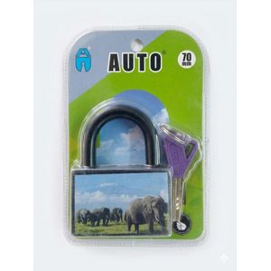 Cadenas à Haute Sécurité avec Clés AUTO 70 Mm 