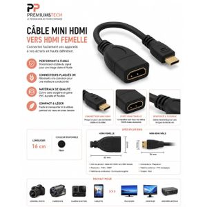 Câble Adaptateur Mini HDMI Mâle vers HDMI Femelle – Rallonge Courte Full HD 1080p avec Connecteurs Plaqués Or