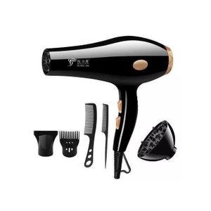 Sèche cheveux professionnel