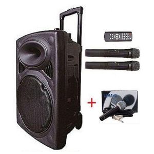 Enceinte Bluetooth  Trolley 15" Grand + 3 Micros