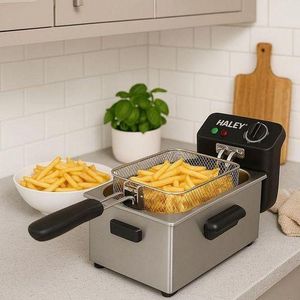 Friteuse Électrique Professionnelle HALEY (Modèle HY-2504)