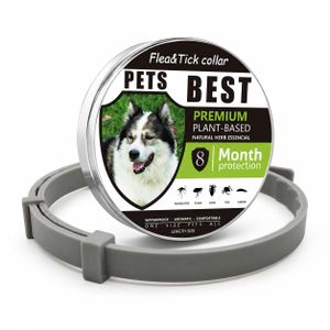 Collier Bouclier Confort pour Chien - Protection 8 Mois