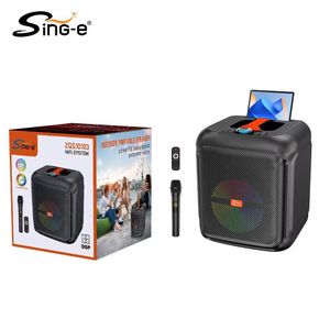 enceinte Bluetooth portable dotée d'un haut-parleur de 10 pouces