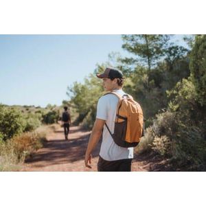 Quechua Sac à Dos - Arpenaz 100 - 20L - Marron